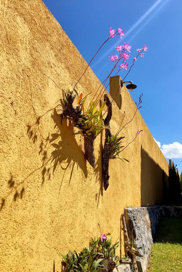 Sandunga Cabanas Boutique Tzintzuntzán Екстериор снимка